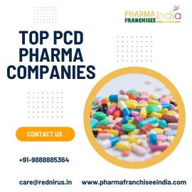 Top Pcd Pharma Companies