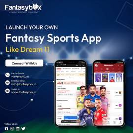 Hire Fantasy Sports App Development Company 