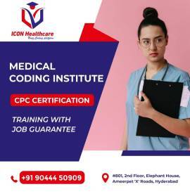  BEST MEDICAL CODING COACHING IN AMEERPET         