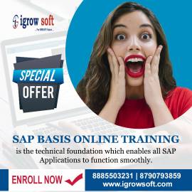 sap basis training in Hyderabad | Igrowsoft