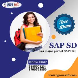 Top sap sd training | sap sd training in Hyderabad