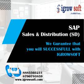 Top sap sd training | sap sd training in Hyderabad