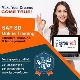 Top sap sd training | sap sd training in Hyderabad