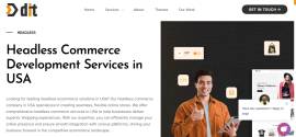 Headless Commerce Development Services USA | Headl