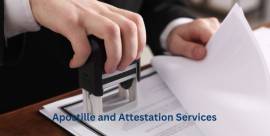Get your degree certificate apostille in Bangalore