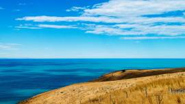 INTERI FURNITURE-Top High End Custom Home Furnitur