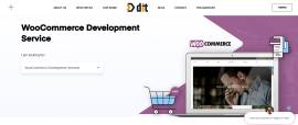 Top WooCommerce Design & Development Services 