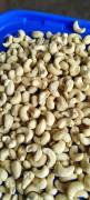 W180 CASHEW NUTS WHOLESALER IN HOWRAH KOLKATA