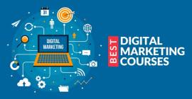 Top-Rated Digital marketing institute in Delhi