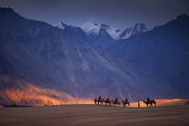 Ladakh Package Tour from Delhi - NatureWings