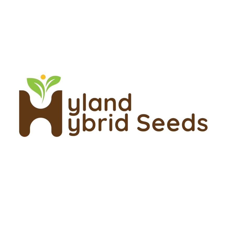 Organic vegetable seed online | Hyland Hybrid Seed