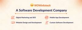 Top Custom Software Development Company