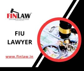 An FIU lawyer plays a vital role in international 