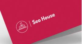 SEO Service Provider