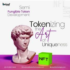 Semi Fungible Token Development