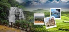 Bangalore , mysore , coorg , ooty , wayanad tour 