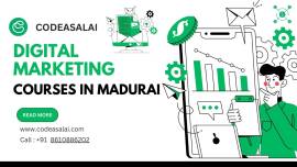 Master Social Media & SEO with a Digital Marke