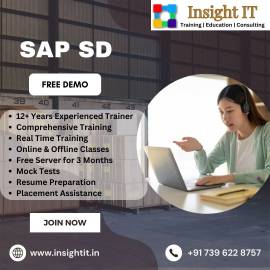 Learn SAP SD Training in Hyderabad at Insight IT
