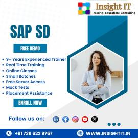 Learn SAP SD Training in Hyderabad at Insight IT