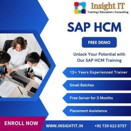 Learn SAP HCM Training in Hyderabad at Insight IT
