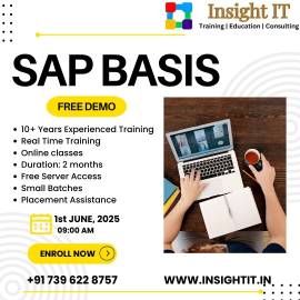 Learn SAP BASIS Training in Hyderabad