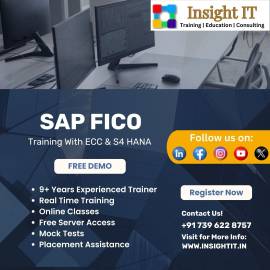 Learn SAP FICO Training in Hyderabad at Insight IT