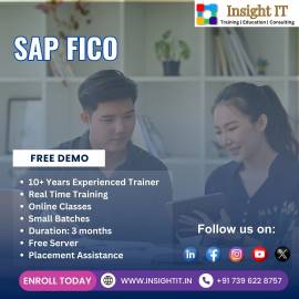 Learn SAP FICO Training in Hyderabad at Insight IT