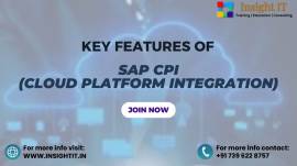 Learn SAP CPI Training in Hyderabad at Insight IT
