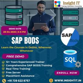 Learn SAP BODS Training in Hyderabad at Insight IT