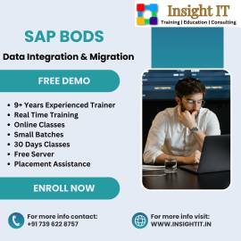 Learn SAP BODS Training in Hyderabad at Insight IT