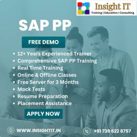 Learn SAP PP Training in Hyderabad at Insight IT
