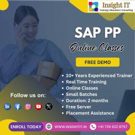 Learn SAP PP Training in Hyderabad at Insight IT