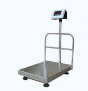 Heavy Duty Platform Scale