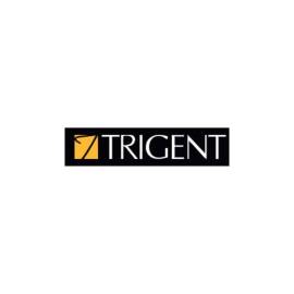 Enhancing Patient Care with Trigent's Healthcare S