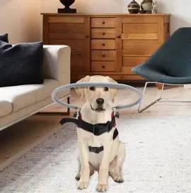 Top Pet Palace | Powerful Picks in Food & Toys