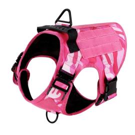 Top Pet Palace | Powerful Picks in Food & Toys