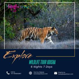 Siddhi Kalyani Holidays Private Limited