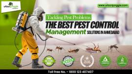 The Best Pest Control Management Solutions in Ahme