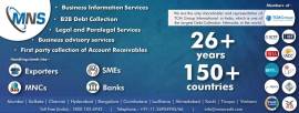  MNS Credit Management Pvt. Ltd.