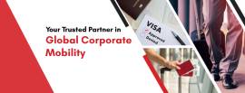 Vire Global India Pvt. Ltd. (Past)