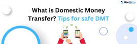 Domestic Money Transfer