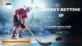 Win Money Daily With Hockey Betting ID