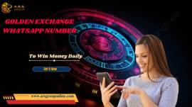 Best Golden Exchange Whatsapp Number Provider 