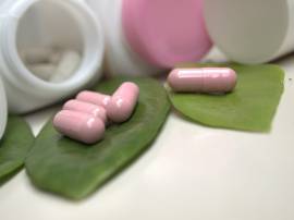 Streamlined Drug License Services with Corpseed