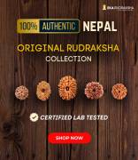 Buy Original & Certified Rudraksha Online , Ma