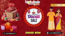 Online Crackers Best No.1 Quality Crackers Shop in Sivakasi (Past)