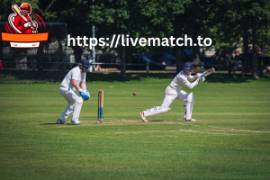 Instant Cricket Fix And Match Highlights Daily On 
