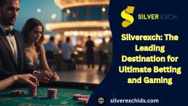 Silverexch: The Leading Destination for Ultimate B