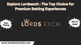 Explore Lordsexch : The Top Choice for Premium Bet