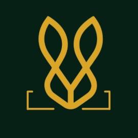 Loafers Shoes – Stylish & Comfortable Everyday